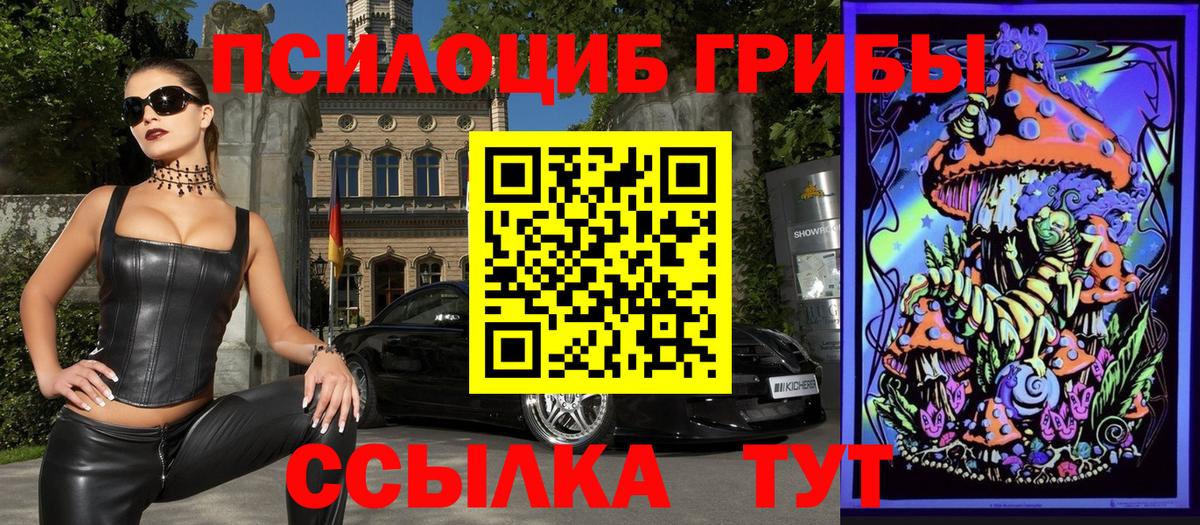 Галлюциногенные грибы Cubensis Можга