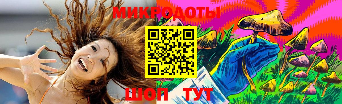 Можга  Псилоцибиновые грибы прущие грибы  Вход с VPN 